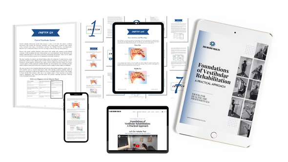 Foundations of Vestibular Rehabilitation: A Practical Approach eBook