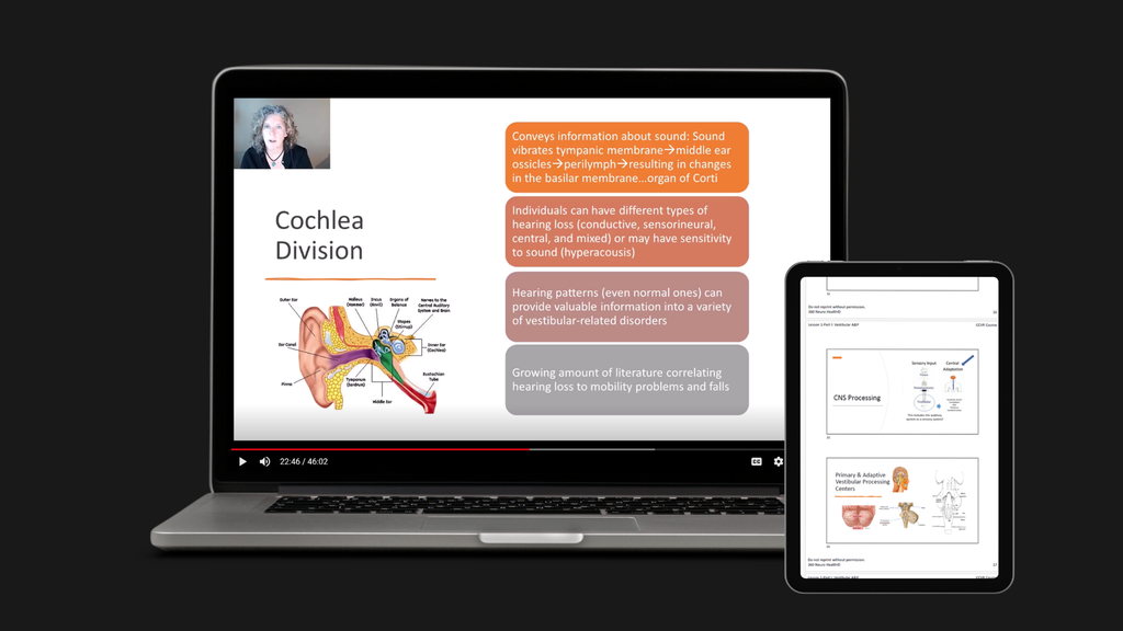 Vestibular Anatomy & Physiology + Gaze Stabilization and Neural Compensation Lesson