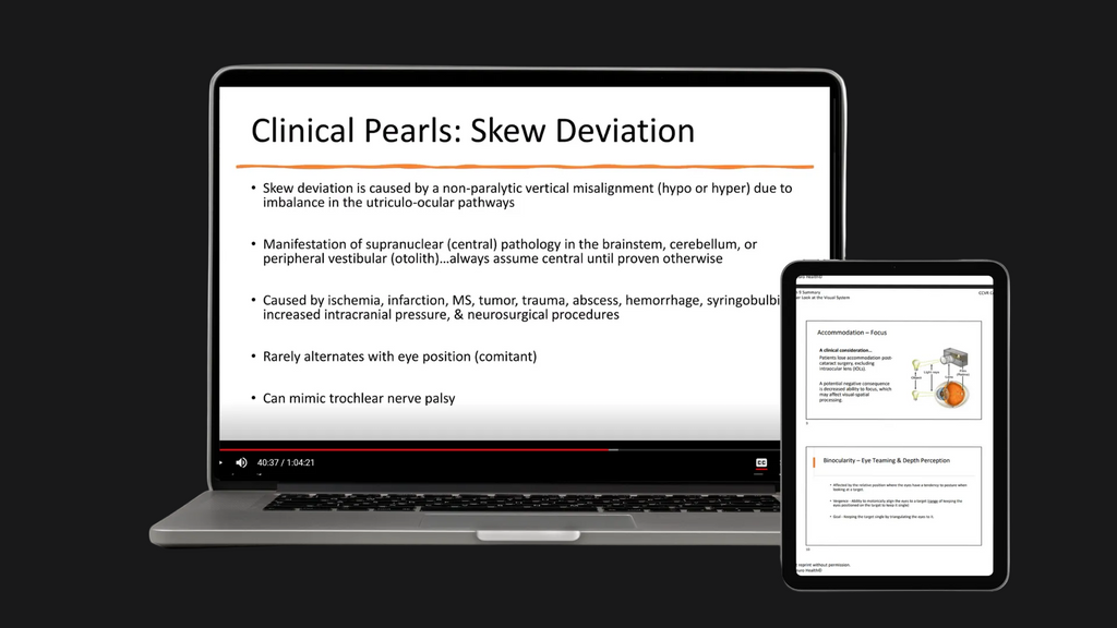 A Closer Look at the Visual System Lesson
