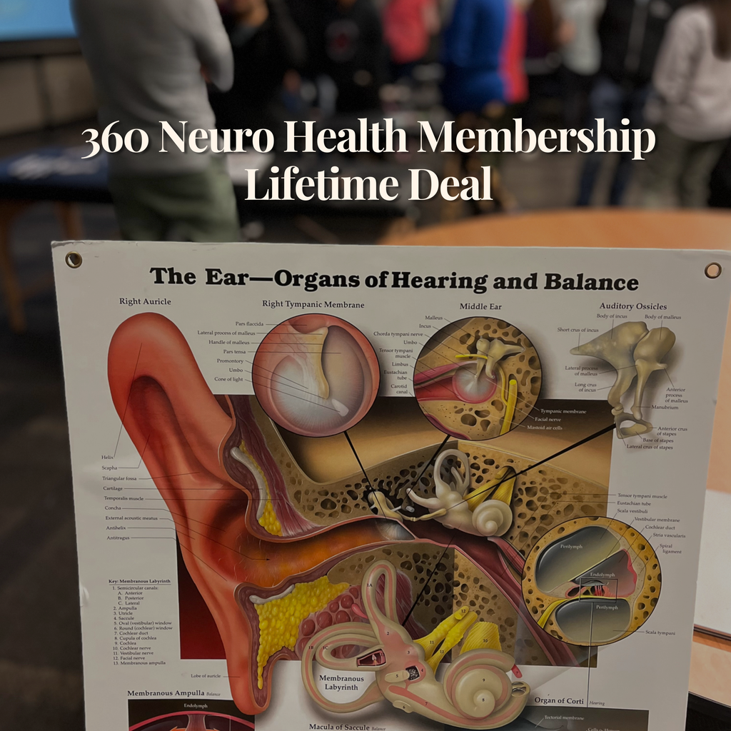 360NeuroGO Membership Lifetime Deal