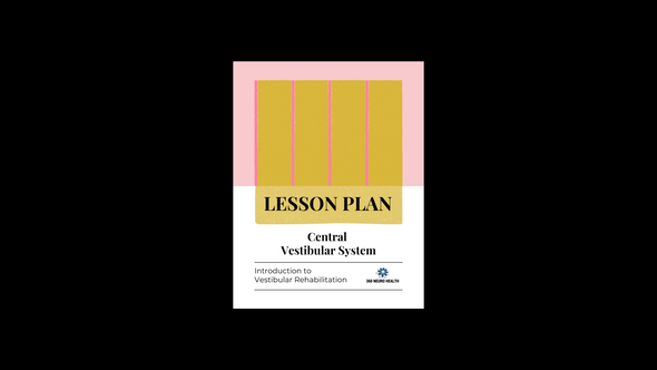 Central Vestibular System Lesson Plan for Introduction to Vestibular Rehabilitation Course
