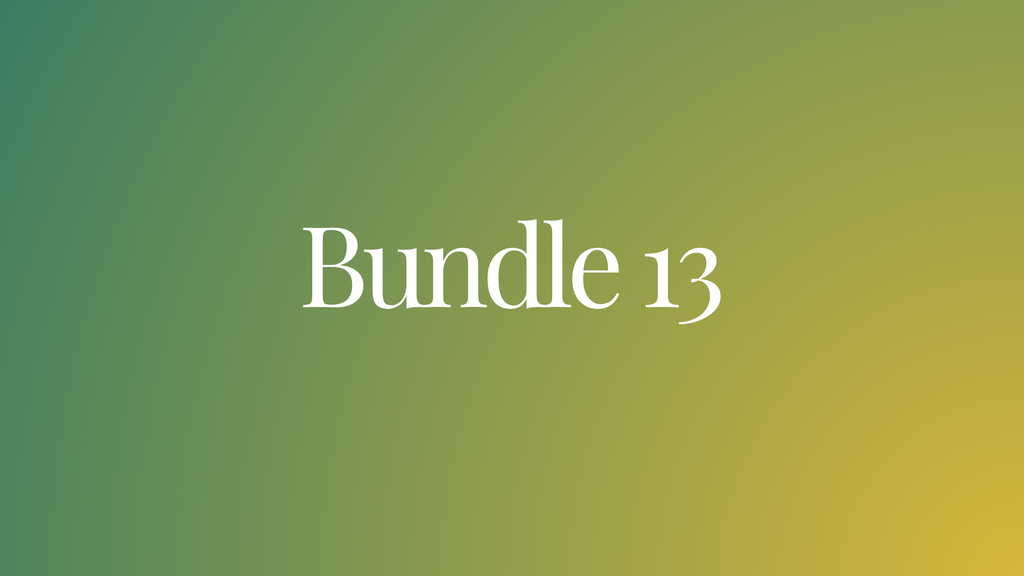 Bundle 13: SPARK Conference + CCVR 2.0 Course