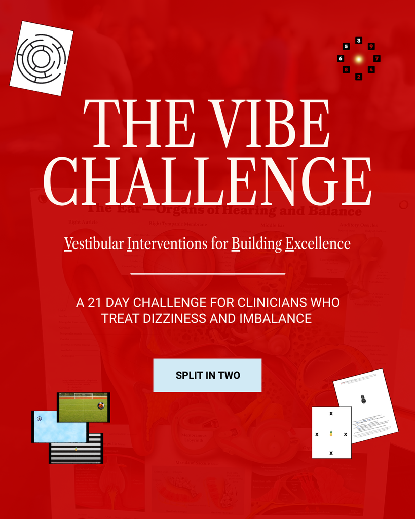 The VIBE Challenge | 2 Monthly Payments