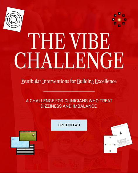 The VIBE Challenge | 2 Monthly Payments