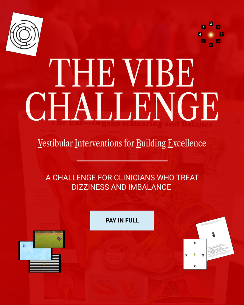 The VIBE Challenge