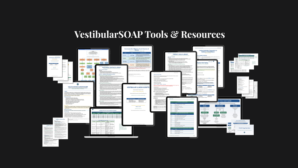 Get 12 VestibularSOAP (Subjective, Objective, Assessment, Plan) Tools for just $12!