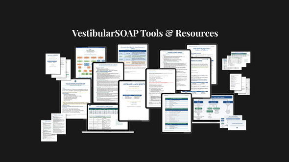 Get 12 VestibularSOAP (Subjective, Objective, Assessment, Plan) Tools for just $12!